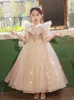 2024 robes de fille de fleur à paillettes pour mariage dentelle applique brillante robe de fête d'anniversaire pour enfants robe de bal gonflée princesse petites filles robe de reconstitution historique robe formelle pour tout-petits