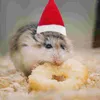Vêtements pour chiens petits animaux casquettes vêtements de cochon d'Inde costume de hamster chapeau de Noël pour animaux de compagnie avec écharpe et