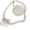 Designer Damen Perlenkette Choker Anhänger Kette Kristall 18K vergoldetes Messing Kupfer Buchstabe C Halskette Statement Schmuck