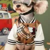 Designer Dog Clothes with Classic Plaid Pattern Autumn Winter Dog Apparel Warm Baseball Jacket Cat Coat Fashion Dog Accessories for Small Dogs Schnauzer Poodle A919