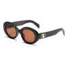 Lunettes de soleil de créateurs de luxe de mode pour femmes verres pour hommes mêmes lunettes de soleil que Lisa Triomphe Beach Street Photo Small Sunnies Metal Full File avec boîte cadeau