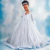 Skyblue Sparkling Flower Girl Dresses Feathered Long Sleeves Lace Tiered Tulle Ball Gown Princess Flowergirl Girls Birthday Party Daughter and Mother Dress CF016