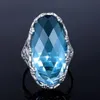 Szjinao 100% Real 925 Sterling Silver Rings For Woman Classic Flower Plants Garden Oval Aquamarine Ring Creative Fine Jewelry 240117