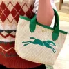 Mini weave basket Straw Bag Womens fashion handbag Designer Crossbody clutch Beach bag luxury with shoulder strap hand