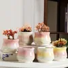 10PC Nordic Style Flow Glaze Ceramic Pot Colorful Cactus Plant Home Garden Decoration Small Colorful Plant Pot 240118