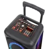 Haut-parleurs 6000W double levier de 8 pouces chariot extérieur Audio karaoké Partybox RGB Bluetooth haut-parleur EQ anneau de lumière LED coloré avec télécommande micro