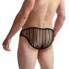 Cuecas sexy mens listrado roupa interior tanga malha u convexo sheer transparente bolsa bikini briefs translúcido calzoncillos hombre