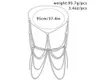무대웨어 댄스 액세서리 남자 바디 가슴 체인 게이 섹시 보석 펑크 금속 비키니 하네스 페스티벌 액세서리 파티 격망 고스 섹시 배신 체인 선물