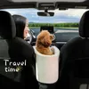 Portable chat chien lit voyage contrôle Central voiture sécurité siège pour animaux de compagnie Transport chien protecteur pour petit chien Chihuahua Teddy 240118