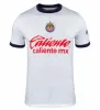 23 24 24 Chivas de Guadalajara koszulki piłkarskie 2023 2024 3rd Liga MX A.Zaldivar Calderon J.Macias Brizuela A.Vega Ponce Alvarado Hombre Men Kit Kit Kit Football Shirt