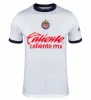 23 24 Chivas de Guadalajara Fußballtrikots 2023 2024 3. LIGA MX A.ZALDIVAR CALDERON J.MACIAS BRIZUELA A.VEGA PONCE Alvarado HOMBRE Herren-Kinder-Fußballtrikot