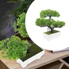 장식 꽃 분재 나무 시뮬레이션 환영 소나무 집 식물 가짜 장식 플라스틱 책상 장식