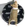 Trendy Luxurious Dog Clothes Fashionable Pet Coat Zipper Cat Dog Outerwear Accessories Supplies Pet Autumn Winter Clothes