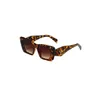 Ny modedesigner PPDDA -solglasögon klassiska glasögonglasögon utomhus strand solglasögon för man kvinna valfri triangulär signatur 6 färger sy 386