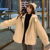 Damski okopa płaszcza wyściełana kurtka Kobieta zima ciepły płaszcz jagnięcy różowy koreański harajuku polar Grubity Oversizee Streetwear wierzchnia wierzchnia