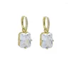 Dangle Earrings Sell Gold Color For Women Big Square Zircon Earring Men Jewelry Circle Ear Ring Wholesale