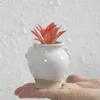 10 pezzi 1 mini vaso da fiori in ceramica spaccata nel ghiaccio utilizzato per decorare il tavolo di un succoso giardino domestico. Mini portavasi succoso con vasi di fiori colorati 240118