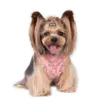 Designer Dog Harness Leases set med klassisk Jacquard -bokstäver Steg -in lufthundsele - Allt vädernät Steg i sele för små hundar av bästa husdjursmaterial rosa B89