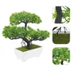 Dekorativa blommor Bonsai Tree Simulation Welcome Pine House Plants Fake Decor Plastic Desk Decorations