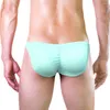 Slip de bikini en soie glacée pour hommes, sous-vêtements transparents, pochette bombée, doux et extensible, lingerie Peni Thong