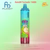 Оригинальные заводские Fumot Tornado 15000 затяжек RandM vape Одноразовые электронные сигареты для кальяна 15K vape puff EU Top 1 горячее продаваемое устройство