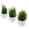 Decorative Flowers 3 Pcs Simulated Potted Plant Artificial Plants Concrete For Decoration