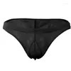 Slip de bikini en soie glacée pour hommes, sous-vêtements transparents, pochette bombée, doux et extensible, lingerie Peni Thong