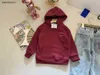 Nouveau bébé Survêtements garçons Automne ensemble vêtements de marque pour enfants Taille 110-160 Sweat à capuche avec logo brodé et jean doublure en velours Jan20