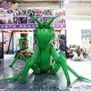 wholesale Gigante decorativo inflable mantis religiosa decoración de insectos animales de dibujos animados de inflación con soplador para publicidad evento juguetes deportes