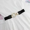 Cintos de 4cm vestido com cintura elástica e um amplo fechamento de fivela simples fivela de fivela de acessórios decorativos femininos