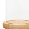 Bouteilles Dôme Cloche Cloche Pot Base En Bois Décoration D'intérieur Pièce D'accent Durable Rond Couvercle Transparent Polyvalent Pour L'artisanat De Fleurs DIY
