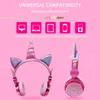 Écouteurs Unicorn Wired Headset with Microphone for Girls Girls Music Music Stéréo écouteurs pour smartphone informatique Cadeaux pour enfants