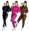 Vrouwen Trainingspakken Tweedelige Sets Hoodies Broeken Outfits Mode Casual Brief Gedrukt Joggingbroek Jogger Set Herfst Sweatshirts Opstaande Kraag Kleding