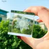 Arts and Crafts 1PC 50mm3D Laser Engraved Crystal Cube Carving Lotus Home Ornament Desktop Decoration DIY Lighting Display Creative Craft Gift YQ240119