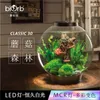 Round fish tank Small tabletop creative aquarium for home use Q240119