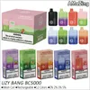 UZY Bang Box BC5000 E Cigarettes 5000 Puffs Mesh Coil Vaporisateurs jetables rechargeables Vape 12 ml Cartouches de dosettes pré-remplies 12 saveurs Puff 5K Vapers