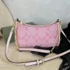 Women Small Handbags Designer Shoulder Bag Underarm Soft Hobo CO Half Moon Ladies Baguette Purse Chain Strap Croissant Bags Pink Purse