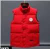 Мужчина -дизайнер Down Jacket Winter Vest Dow