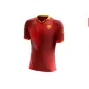 23 24 US Lecce Man Soccer Jerseys Home Away Third Strefezza Federico Baschirotto Joan Gonzalez Wladimiro Falcone Marin Pongracic Remi Oudin de Football Shirts