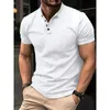 T-shirt da uomo Moda estiva Top a maniche corte Cambiamento graduale Camicia POLO Girocollo Bottone 2024 T-shirt di grandi dimensioni S-2XL