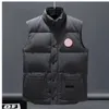 Мужчина -дизайнер Down Jacket Winter Vest Dow