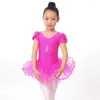 Palco desgaste flor meninas ballet vestido para crianças menina dança roupas crianças trajes collant dancewear 3 cores