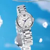 Women's high appearance level light luxury fine fashion steel band waterproof quartz watch