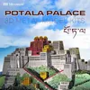 Herramientas artesanales 2020 Microworld Potala Palace kits de modelos DIY corte por láser Rompecabezas modelo de construcción 3D rompecabezas de metal juguetes para regalo para adultos YQ240119