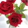 Flores decorativas rosa flor artificial buquê de rosas realistas haste longa único floral falso para festas de escritório em casa e casamento bj