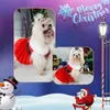 Abbigliamento per cani Abbigliamento per animali domestici Tessuto invernale in velluto di Natale Forniture per cosplay di Babbo Natale Abiti fantasia per cuccioli di principessa