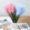 Dekorativa blommor färgglada konstgjorda 5 huvuden pampas gräs siden vass bukett falska växter gren diy hem dekor arrangemang potten rekvisita