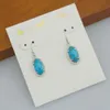 Designer Kendrascott Neclace smycken ke smycken Lee Oval Gold Line Turquoise Pendant örhängen Earhooks örhängen