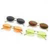 Sunglasses Rimless Oval Women's Retro Metal Frame Small Cat Eye Sun Glasses Men Shades Punk Driving Eyewear Female