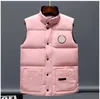 Мужчина -дизайнер Down Jacket Winter Vest Dow